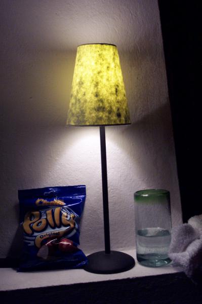 Polly & Green Light